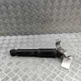 Stoßdämpfer hinten links VW MULTIVAN T7 (STM, STN) 1.4 eHybrid 7T0513091 7T0513029M