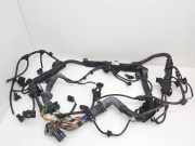 Motor Kabelbaum BMW X5 (G05) xDrive 30 d 53781210 7809171