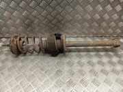 Stoßdämpfer hinten links VW VENTO (1H2) 1.9 D