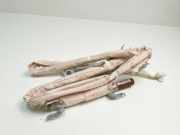 Airbag Dach links Toyota Prius (W3) EX20060139