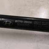 Verkabelung der hinteren Abdeckung HYUNDAI SANTA FÉ II (CM) 2.2 CRDi 4x4 817702B000