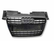 Gitter AUDI TT Roadster (8J9) 2.5 RS quattro LX7U