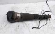 Stoßdämpfer links vorne Mercedes-Benz S-Klasse (W221) C086105