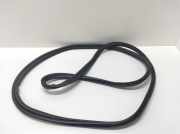 Dichtung für Koffer-/Laderaumklappe Ford C-Max II (DXA)