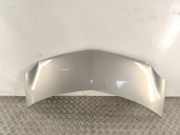 Motorhaube RENAULT MODUS / GRAND MODUS (F/JP0_) 1.5 dCi (JP0G, JP0H)