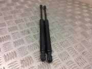 Heckklappe Gasdruckfeder rechts TESLA MODEL 3 EV 109156000b