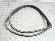 Türgummi links vorne Toyota RAV 4 II (A2)