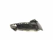 Gitter vorne unten BMW X5 (F15, F85) xDrive 40 d 51117307993