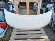 Motorhaube VW TRANSPORTER V (T5) Minibus / passenger 1.9 TDI