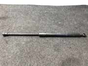 Gasfeder für Motorhaube BMW X5 (E53) 8402551