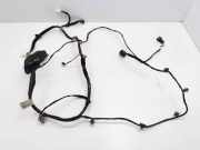 Kabel Tür Hyundai iX35 (LM) 916112Y010