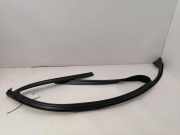 Türgummi rechts vorne Mercedes-Benz C-Klasse (W204) A2047250225