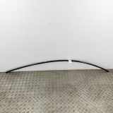 Rechte Dachleistenverkleidung TESLA MODEL Y EV Performance All-wheel Drive 1495731-00-C