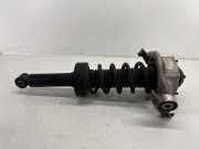 Stoßdämpfer hinten links PORSCHE CAYENNE (92A) 4.8 S 95833305100