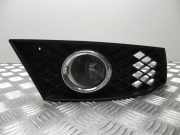 Nebelscheinwerfer links vorne Mercedes-Benz CLS (C218) A2128200356