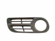 Gitter Grill vorne rechts SKODA FABIA I Combi (6Y5) 1.4 TDI