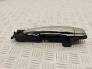Türaußengriff hinten links RENAULT KOLEOS II 2.0 dCi 175 4WD