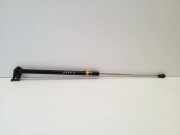 Gasfeder für Motorhaube Lexus RX 3 (L1)