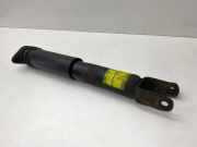 Stoßdämpfer rechts hinten Cadillac CTS 1 () 25770450