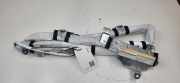 Dach SRS rechts NISSAN LEAF (ZE0) Electric 0589P10036