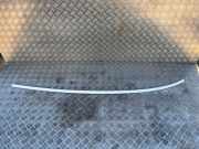 Dachleiste links BMW X6 (F16, F86) xDrive 30 d
