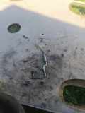 KRAFTSTOFFVERTEILER EINSPRITZLEISTE VERTEILERROHR OPEL ASTRA G Estate (F35_) 2.0 DTI 16V