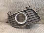 Gitter Grill vorne rechts MERCEDES-BENZ A (W169) A 180 CDI (169.007, 169.307) 1698850822