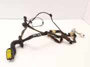 Türverkabelung hinten links RENAULT ESPACE IV (JK0/1_) 2.0 dCi (JK03, JK04) 8200782551