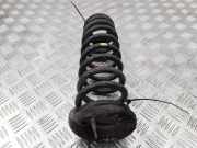 Schraubenfeder hinten links KIA CARENS III (UN) 2.0 CVVT