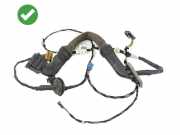Türverkabelung hinten links MERCEDES-BENZ R (W251, V251) R 350 CDI 4-matic (251.023, 251.123) 2956711