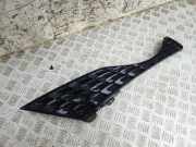 Vorderer oberer Gitter NISSAN JUKE (F15) 1.5 dCi 62074BV80A