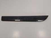 Türverkleidung links hinten Audi A6 (4F, C6) 4F0853969H