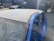 Dach mit Sonnendachausschnitt BMW X1 (F48)