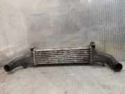 Ladeluftkühler MERCEDES-BENZ C T-Model (S202) C 220 T CDI (202.193) 2025001100