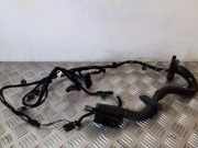 Türverkabelung hinten links BMW 7 (E65, E66, E67) 730 Ld 6918765