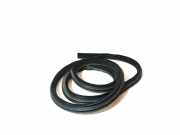 Türgummi rechts vorne Jaguar XE (X760)