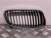 Kühlergrill oben BMW 3er Coupe (E92) 7254968