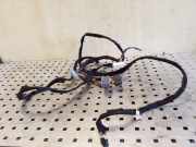 Kabelbaum NISSAN PRIMASTAR Furgon (X83) 2.0 dCi 115