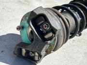 Stoßdämpfer links hinten Land Rover Range Rover Evoque I (L538) BJ3218K004AD