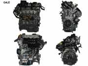 Motor ohne Anbauteile (Benzin) Kia Niro I (DE) G4LE