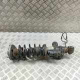 Stoßdämpfer rechts hinten BMW 6er Cabriolet (F12) 6798408