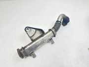 AGR-Kühler NISSAN NP300 NAVARA (D40) 2.5 dCi 4WD