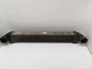 Ladeluftkühler Mercedes-Benz A-Klasse (W169) A1695000000