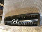 Vorderer oberer Gitter HYUNDAI TUCSON (JM) 2.0 CRDi 4WD