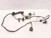 Türverkabelung hinten links JAGUAR XJ (X350) 2,7 D 5W9314027SBC 5W9314027
