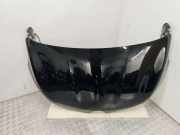 Motorhaube RENAULT ESPACE V (JR_) 1.6 dCi 160