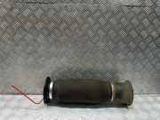 Stoßdämpfer links hinten BMW X5 (F15, F85) 6795013