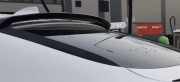 Spoiler hinten BMW X6 (E71, E72)