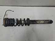 Stoßdämpfer hinten rechts