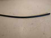Zierleiste Windschutzscheibe Frontscheibe TOYOTA RAV 4 III (_A3_) 2.2 D 4WD (ALA30_)